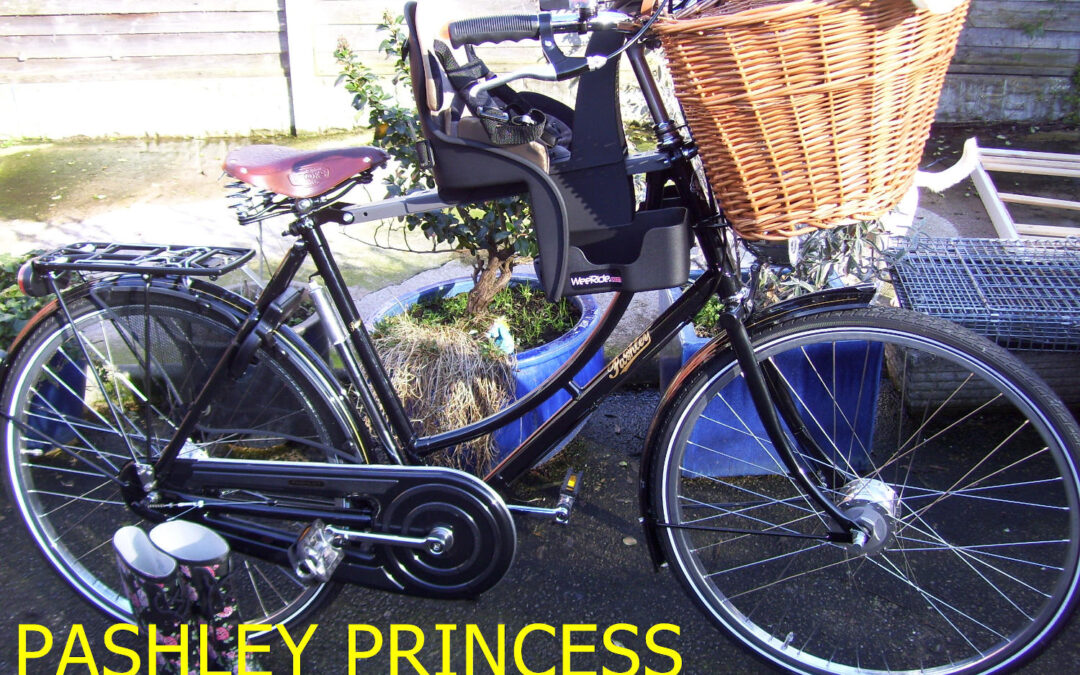 Various Pashley Bikes